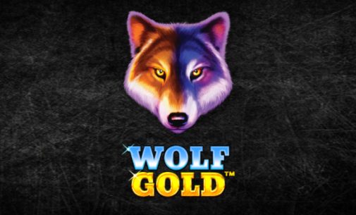 Joacă Pacanele Wolf Gold Recenzie, Bonusuri | World Casino Expert Romania