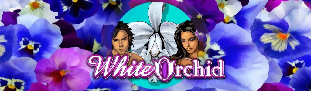 Joacă Pacanele White Orchid - Recenzie, Bonusuri | World Casino Expert Romania