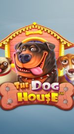 Joacă Pacanele The Dog House - Recenzie, Bonusuri | World Casino Expert Romania