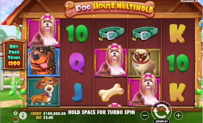 The Dog House Megaways