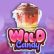 Joacă Pacanele Wild Candy Recenzie, Bonusuri | World Casino Expert Romania