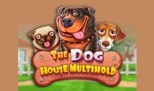 Joacă Pacanele The Dog House Multihold Recenzie, Bonusuri | World Casino Expert Romania