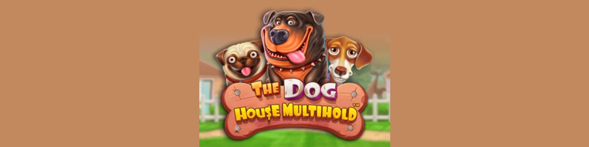 Joacă Pacanele The Dog House Multihold - Recenzie, Bonusuri | World Casino Expert Romania