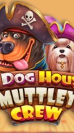 Joacă Pacanele The Dog House Muttley Crew - Recenzie, Bonusuri | World Casino Expert Romania